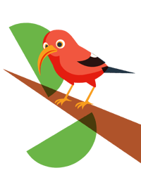 Iiwi-Bird-on-Branch